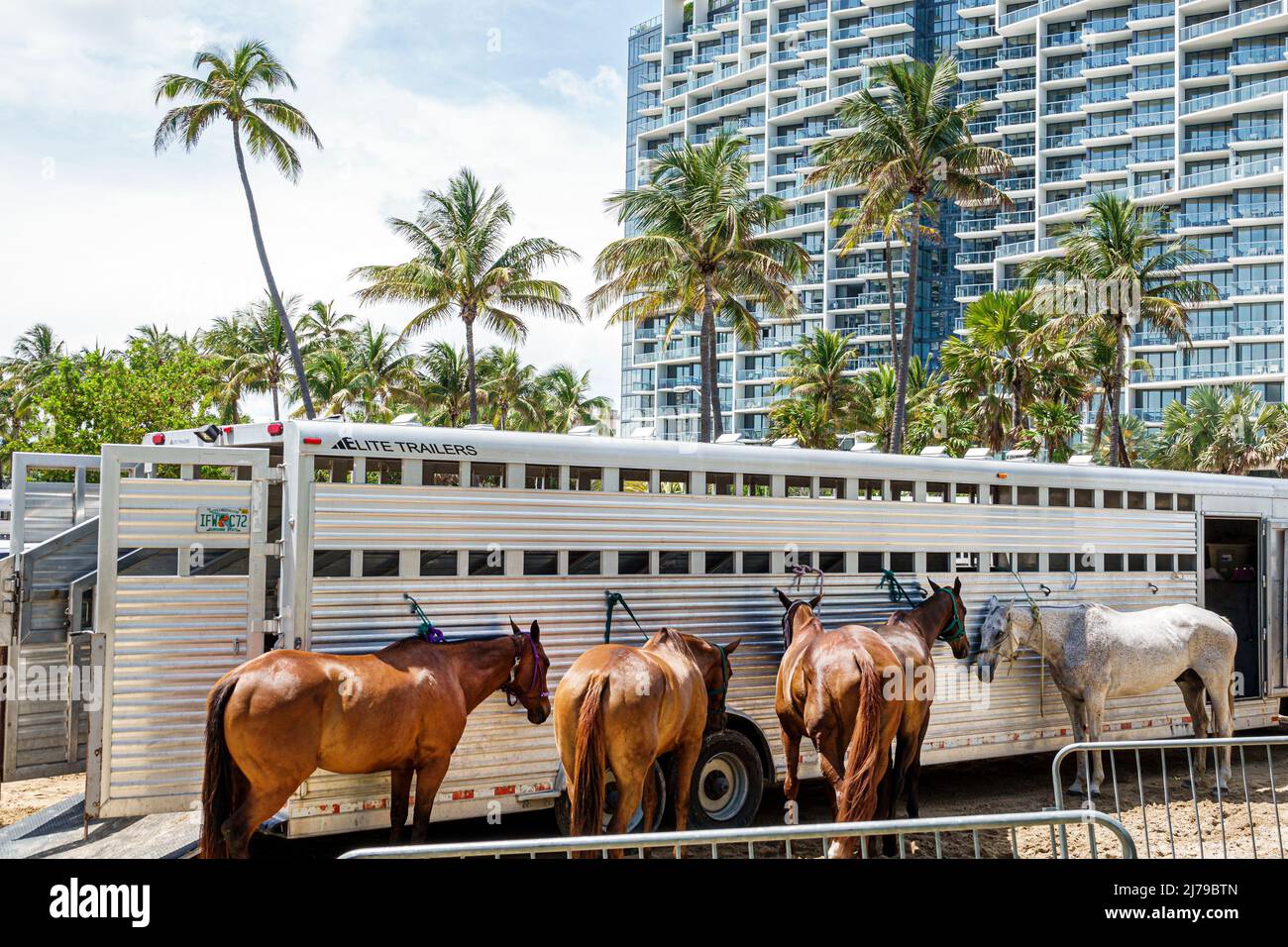 Miami Beach Florida Beach Polo World Cup Miami evento annuale ponies cavallo rimorchio W South Beach Hotel Collins Park Foto Stock