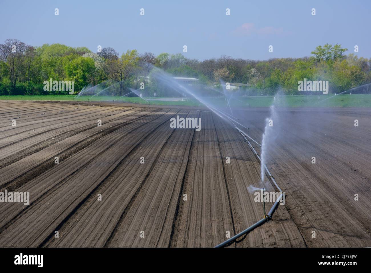 Felder bei Aderklaa im Marchfeld, künstliche Bewässerung // terreno agricolo in Austria vicino ad Aderklaa, irrigazione artificiale Foto Stock