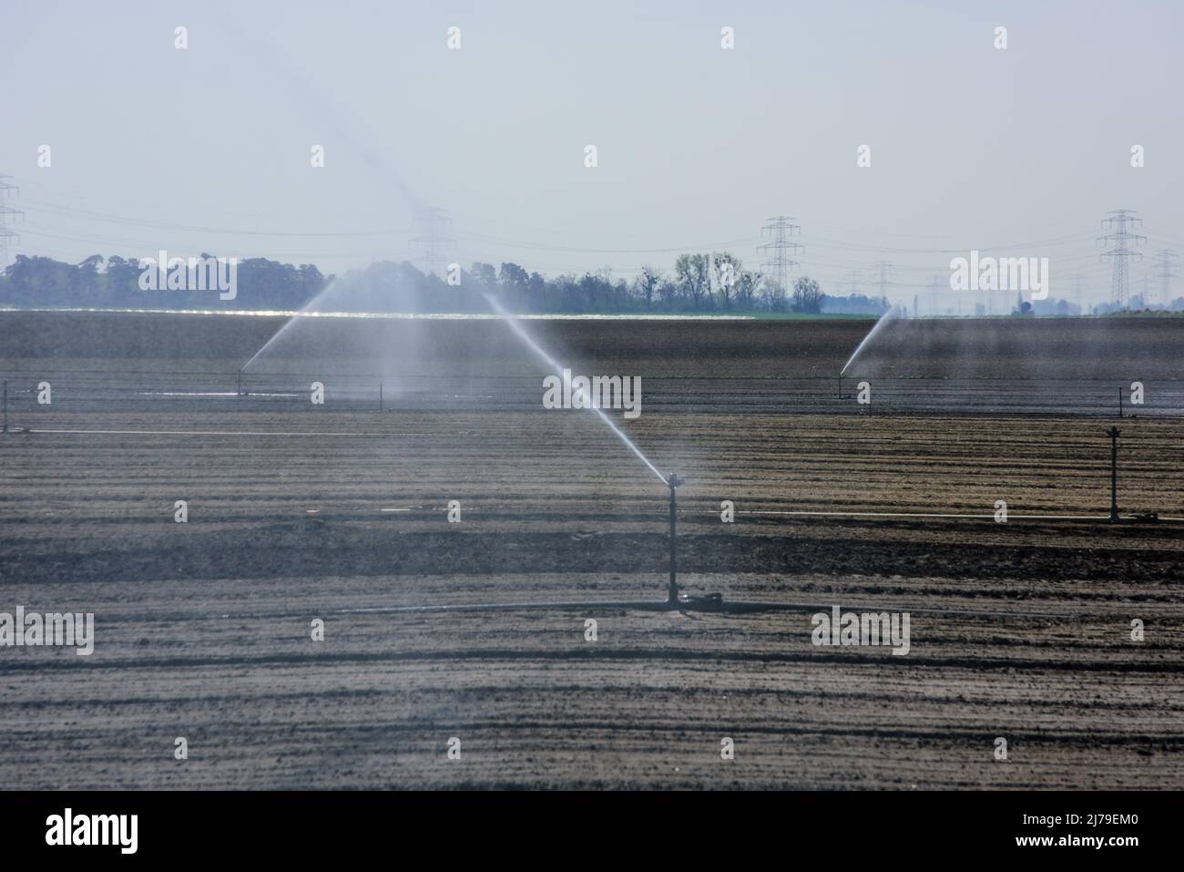 Felder bei Aderklaa im Marchfeld, künstliche Bewässerung // terreno agricolo in Austria vicino ad Aderklaa, irrigazione artificiale Foto Stock