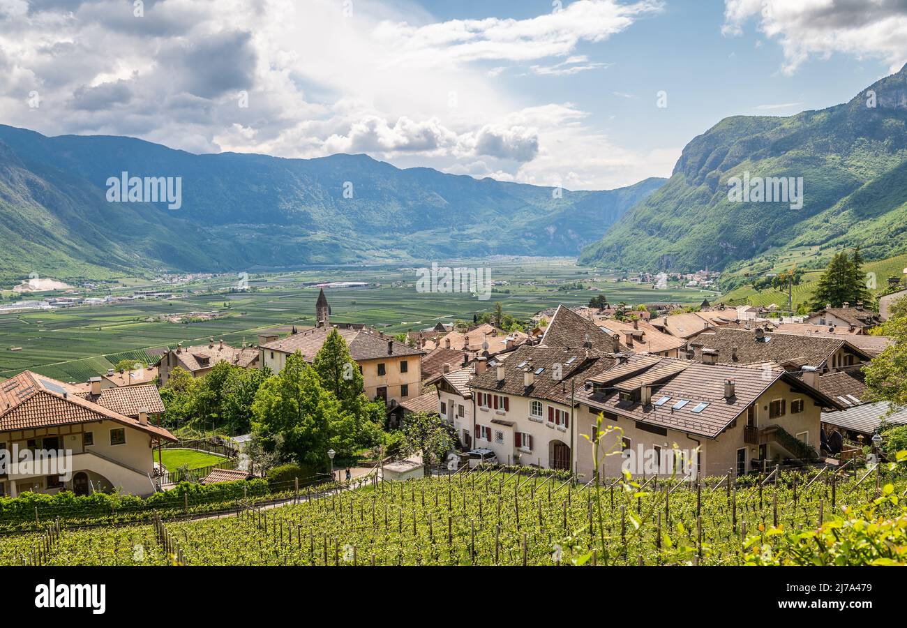 Paesaggio di Cortaccia (Kurtatsch) in Alto Adige, Italia settentrionale: L'idilliaco villaggio del vino si trova su un altopiano soleggiato a 333 m s.l.m. Foto Stock