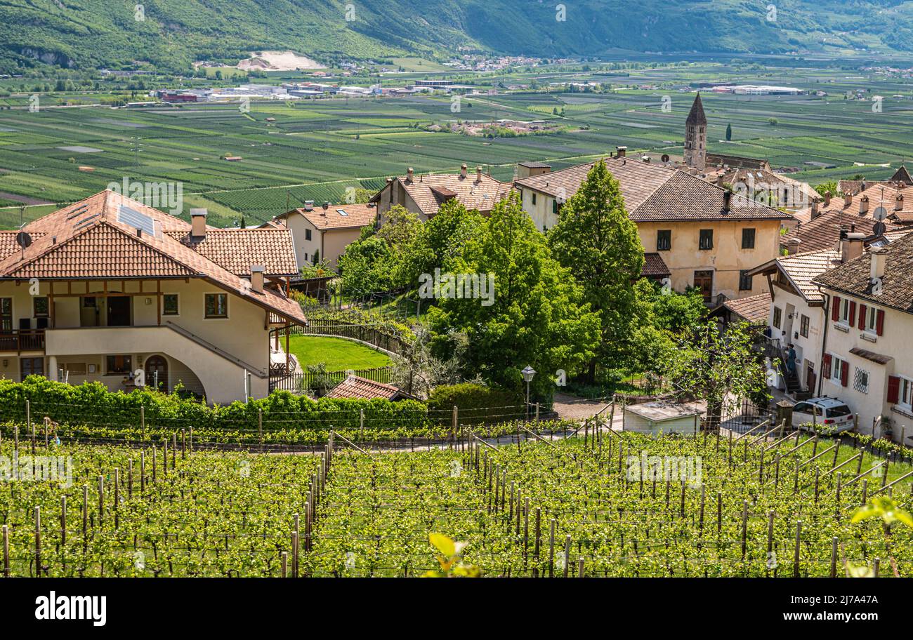 Paesaggio di Cortaccia (Kurtatsch) in Alto Adige, Italia settentrionale: L'idilliaco villaggio del vino si trova su un altopiano soleggiato a 333 m s.l.m. Foto Stock