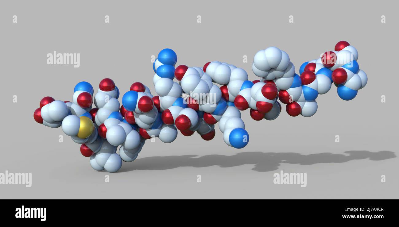 Molecola di ormone glucagone, illustrazione Foto Stock
