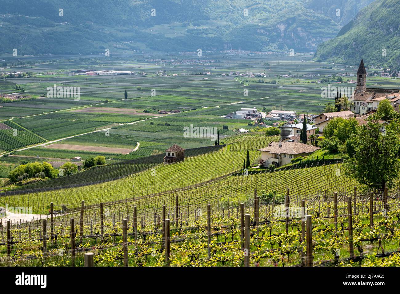 Paesaggio di Cortaccia (Kurtatsch) in Alto Adige, Italia settentrionale: L'idilliaco villaggio del vino si trova su un altopiano soleggiato a 333 m s.l.m. Foto Stock