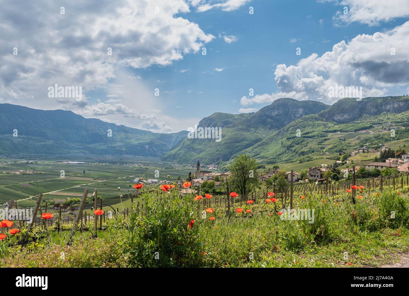 Paesaggio di Cortaccia (Kurtatsch) in Alto Adige, Italia settentrionale: L'idilliaco villaggio del vino si trova su un altopiano soleggiato a 333 m s.l.m. Foto Stock