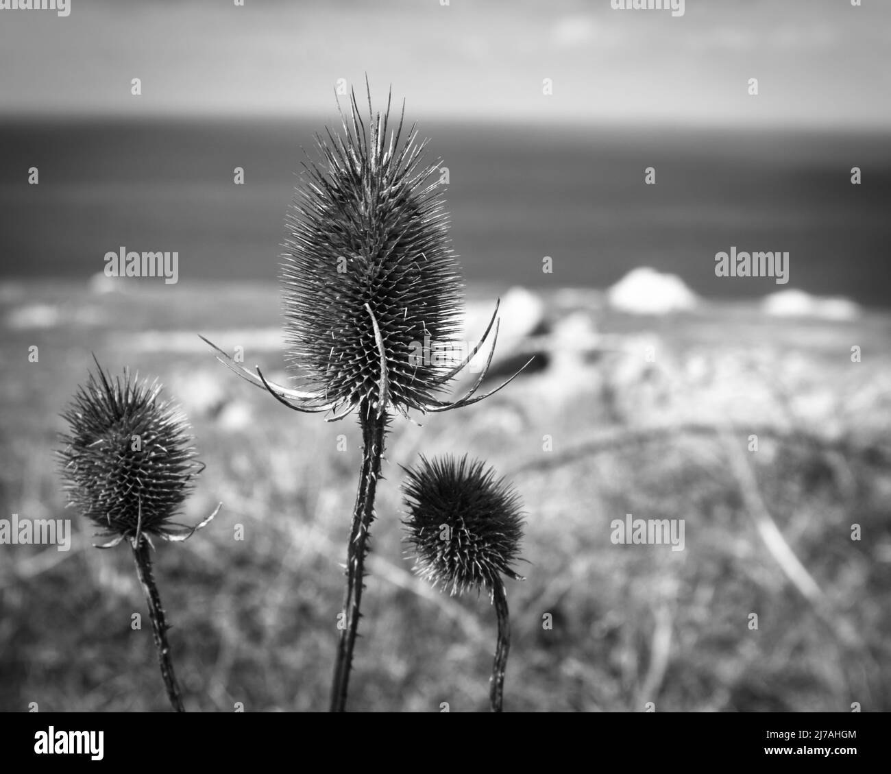 Carretti sulla scogliera di Portland nel Dorset Foto Stock