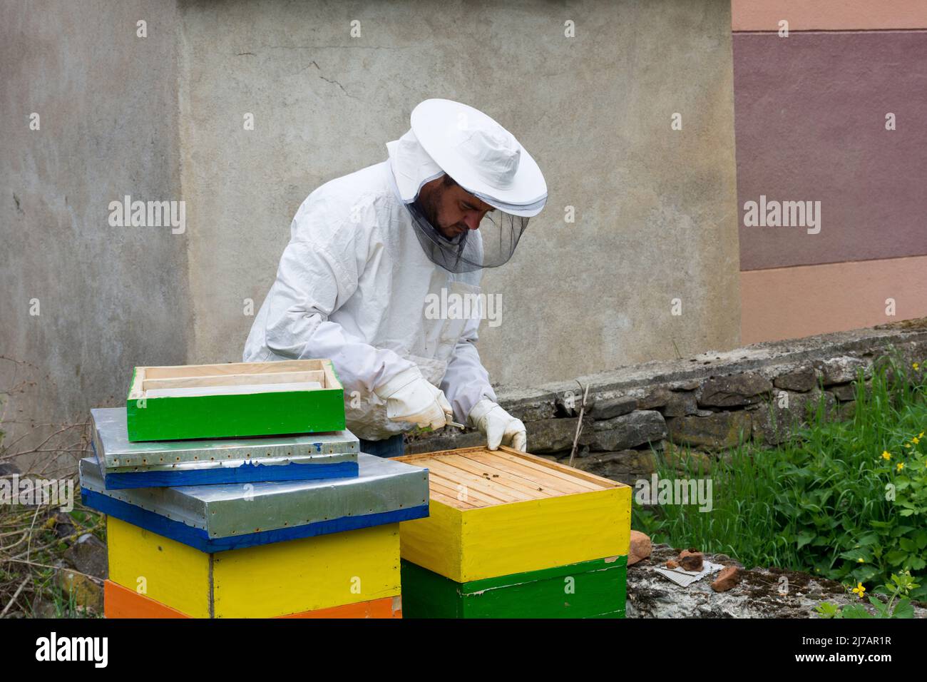 Apicoltore in abbigliamento protettivo che lavora nel suo apiario in una giornata di primavera soleggiata. Concetto di apicoltura Foto Stock