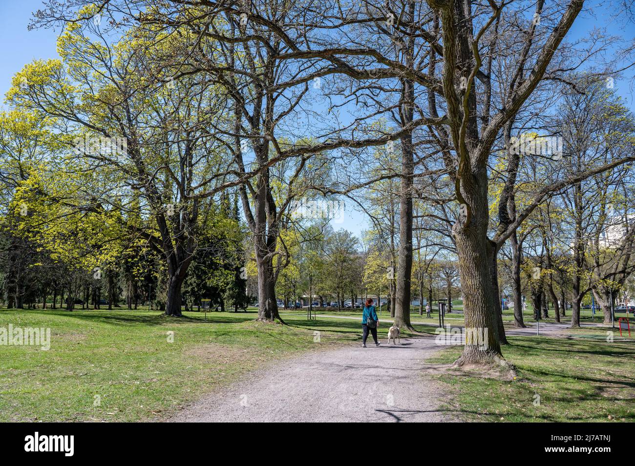 Una giornata di primavera soleggiata all'inizio di maggio 2022 nel parco cittadino di Folkparken a Norrkoping. Norrkoping è una storica città industriale svedese. Foto Stock
