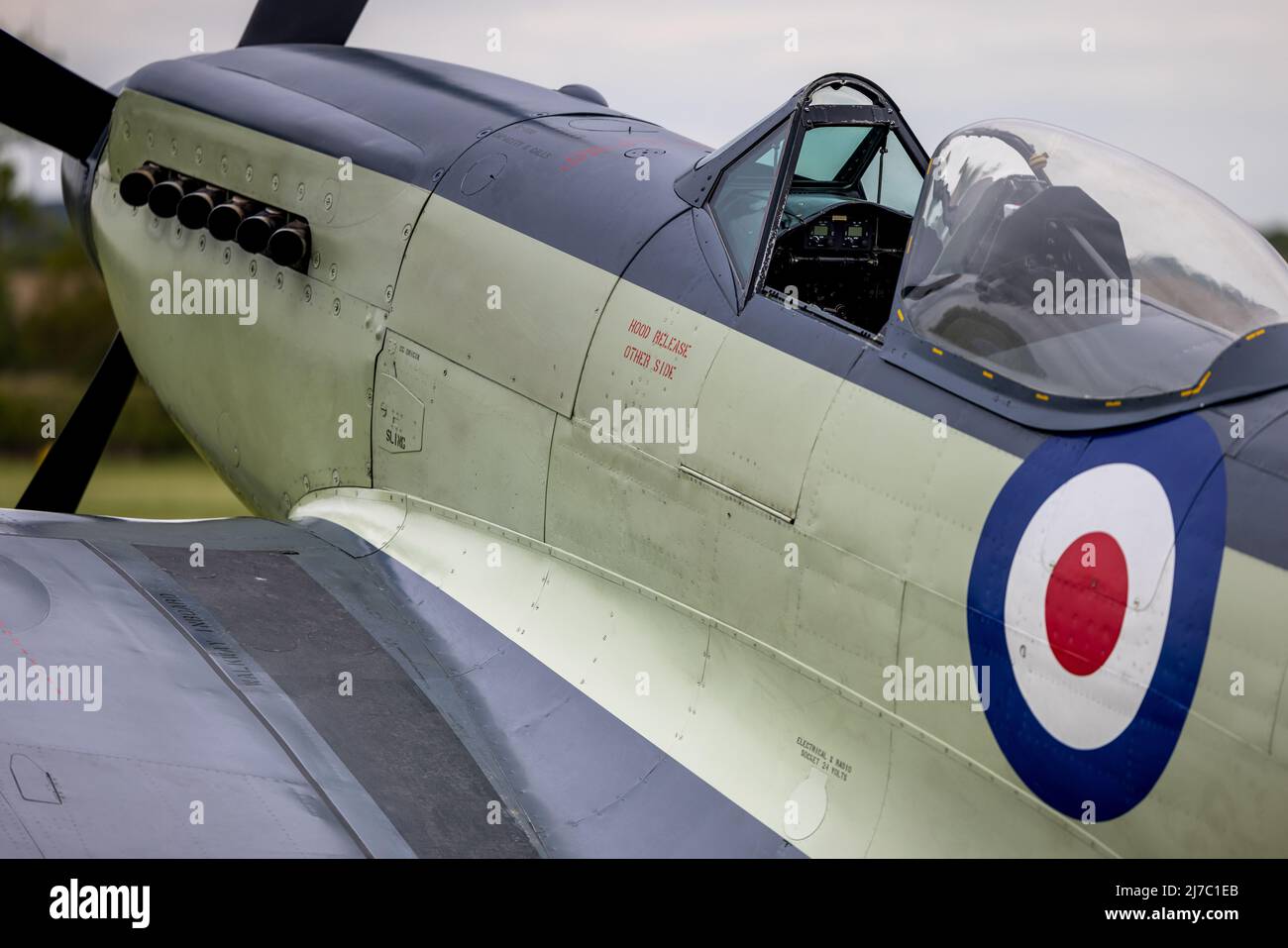 Navy Wings Seafire XVII SX336 sul flightline al Shuttleworth Season Premiere Air Show il 1st maggio 2022 Foto Stock