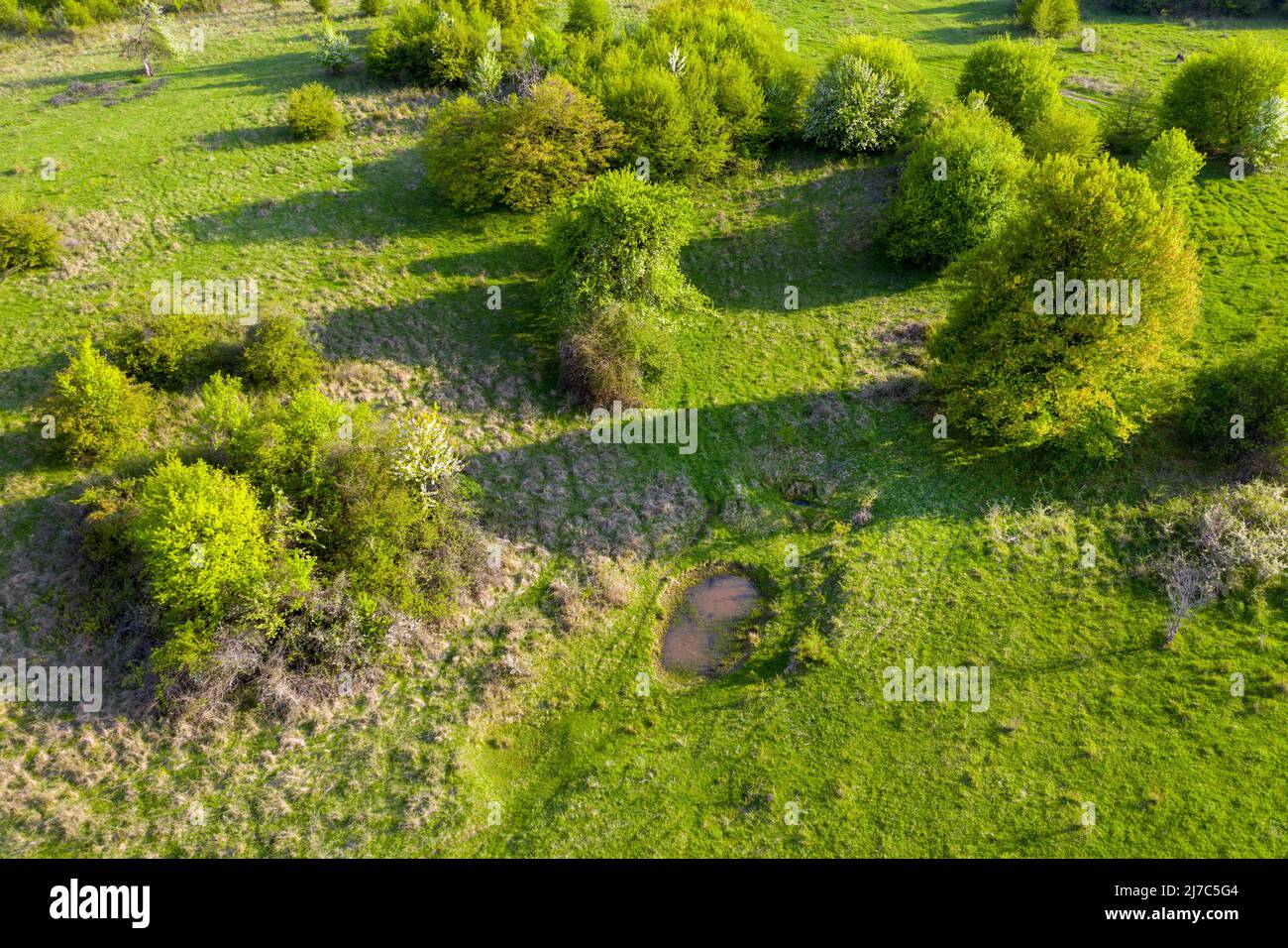 Vista aerea del verde pascolo con piccoli stagni di acqua potabile naturale per bufali e animali da fattoria. Transilvania, Romania Foto Stock
