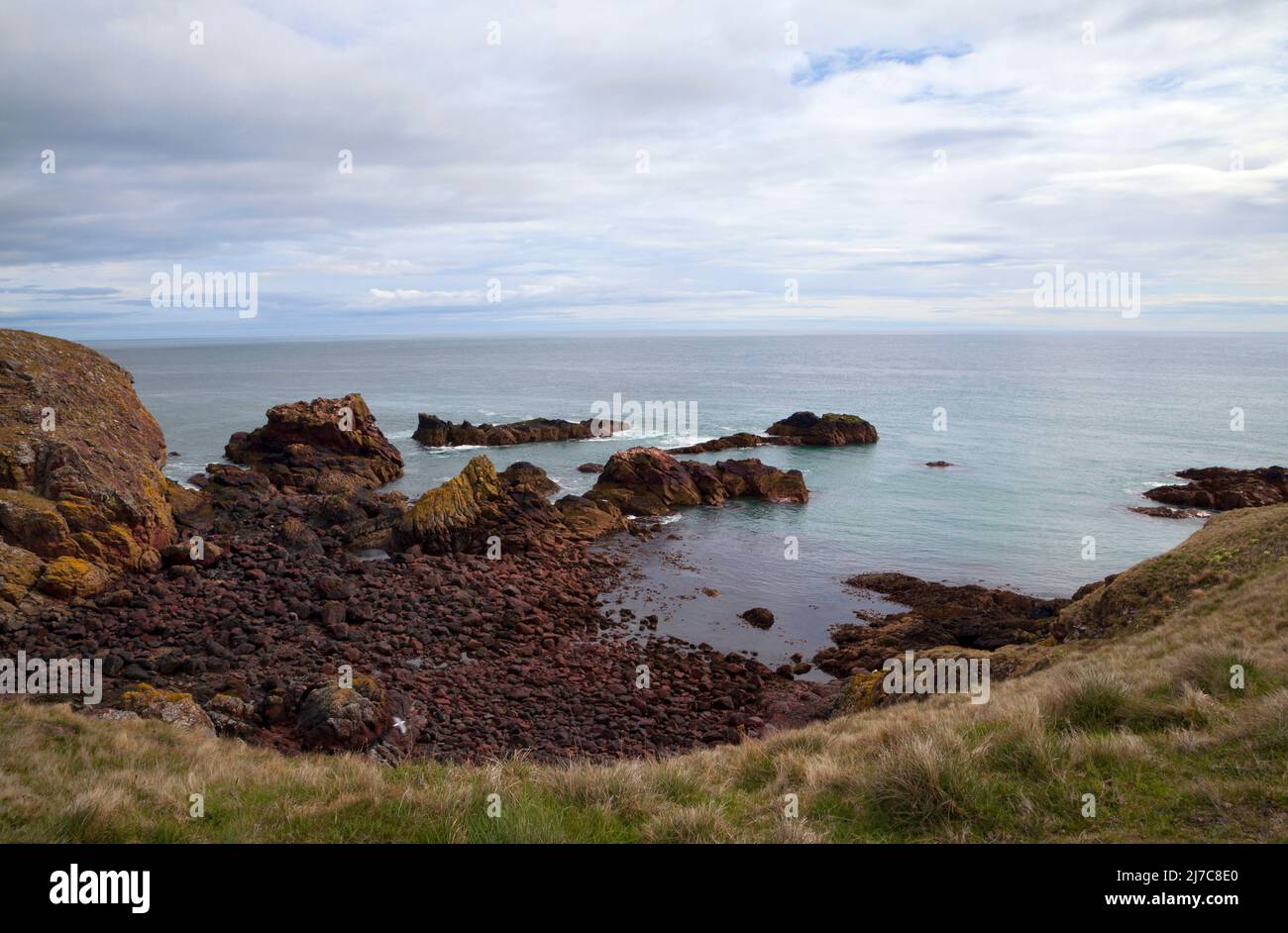 Vista sulle rocce e sulla riva presso la riserva naturale di St Adds Head, Berwickshire, Scozia Foto Stock