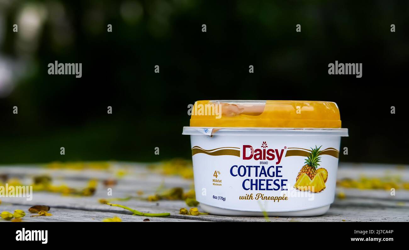 NORWALK, CT, USA - 8 MAGGIO 2022: Formaggio caserario dal marchio Daisy all'aperto sul tavolo con spazio copia Foto Stock