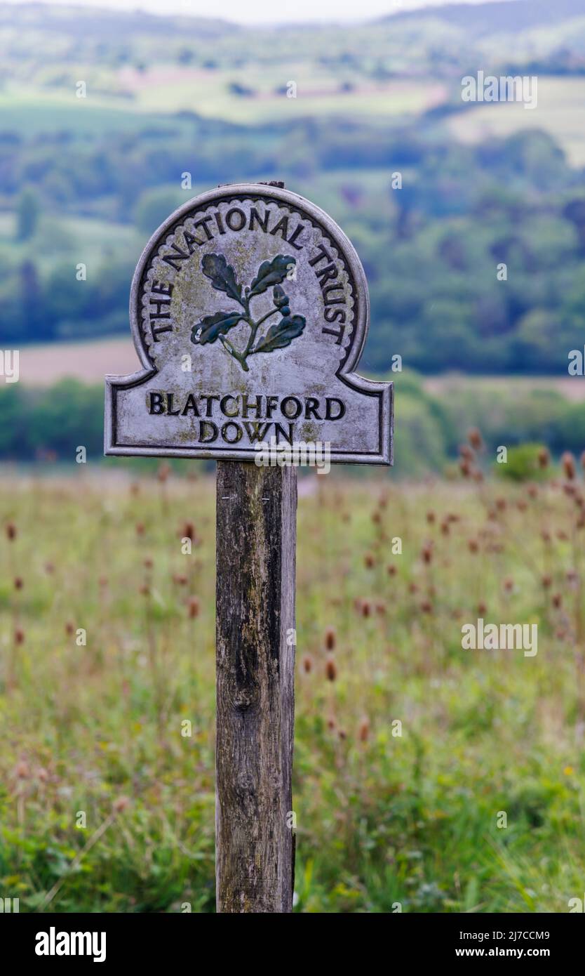 Vista del cartello con il nome del National Trust a Blatchford Down sulla North Downs Way, Abinger Hammer nella Surrey Hills Area of Outstanding Natural Beauty Foto Stock