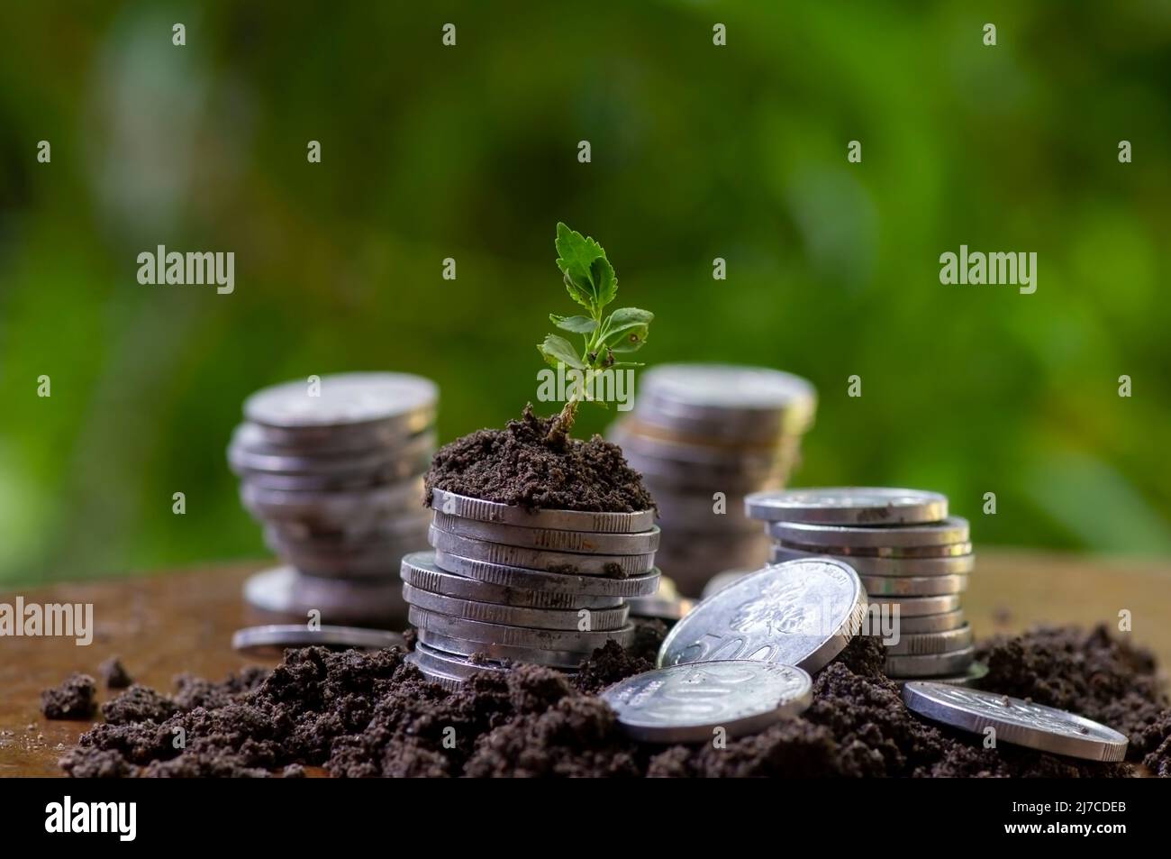 Una giovane pianta verde crescita attraverso una pila di monete. Business e il concetto di crescita del denaro Foto Stock