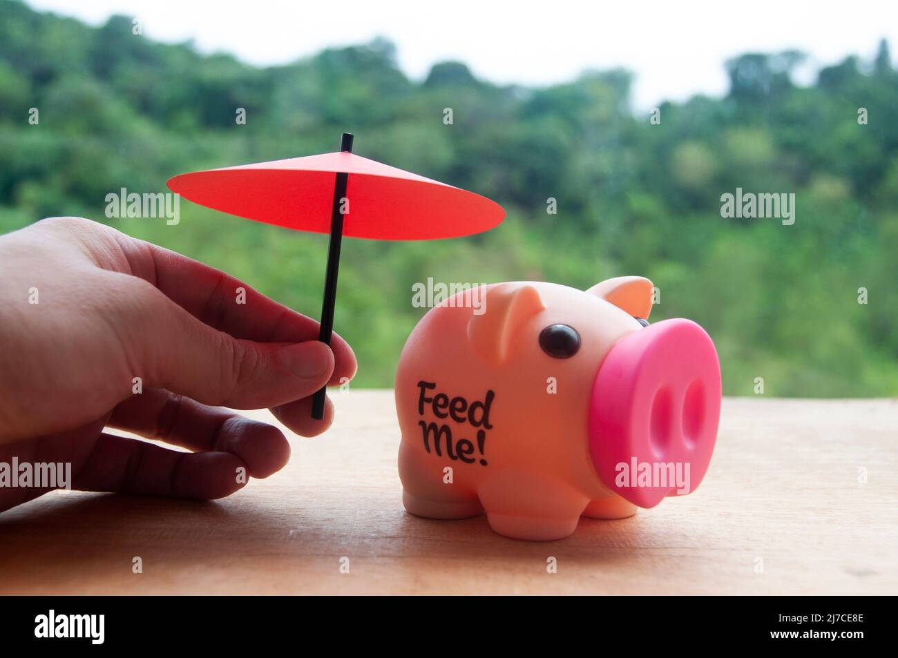 Mano che tiene piccolo ombrello rosso su pig banca su tavola di legno. Sicurezza finanziaria e concetto di investimento. Foto Stock