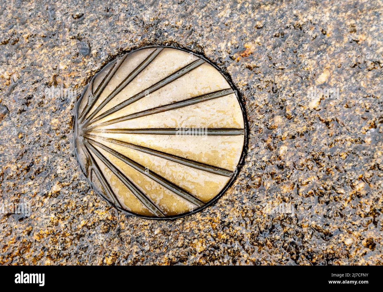 Conchiglia di Santiago sul marciapiede Foto Stock