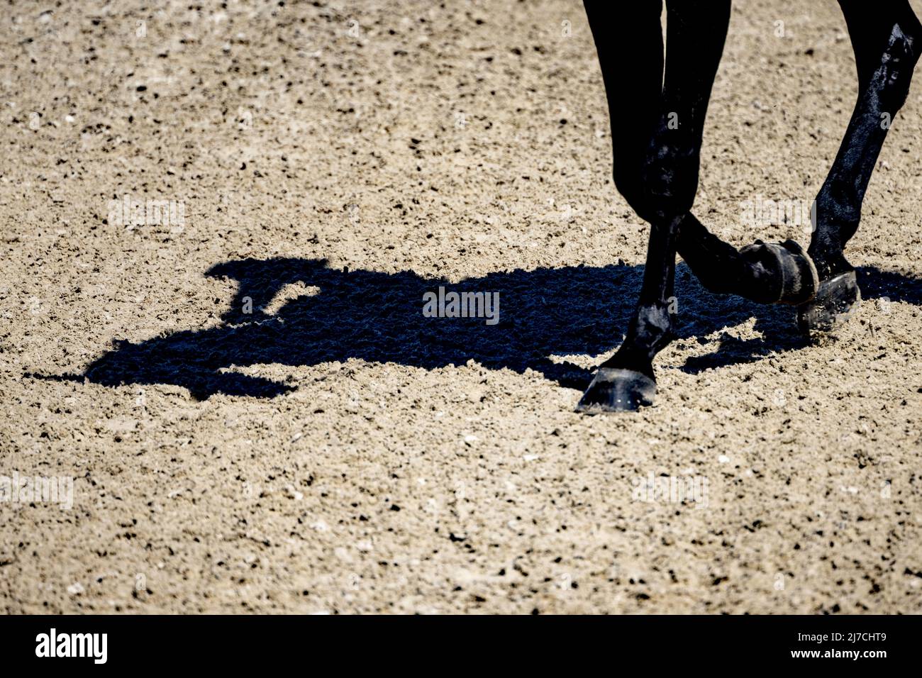 Ermelo, Paesi Bassi, 2022-05-08 15:22:07 ERMELO - Denise Nekeman su Boston STH in azione durante il Campionato Olandese di Dressage. ANP ROBIN UTRECHT paesi bassi fuori - belgio fuori Foto Stock