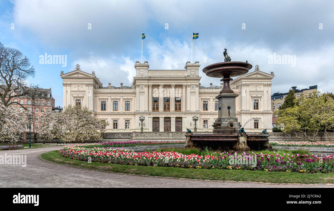 Tulipani in fiore di fronte alla Lund University, Lund, Svezia, 7 maggio 2022 Foto Stock
