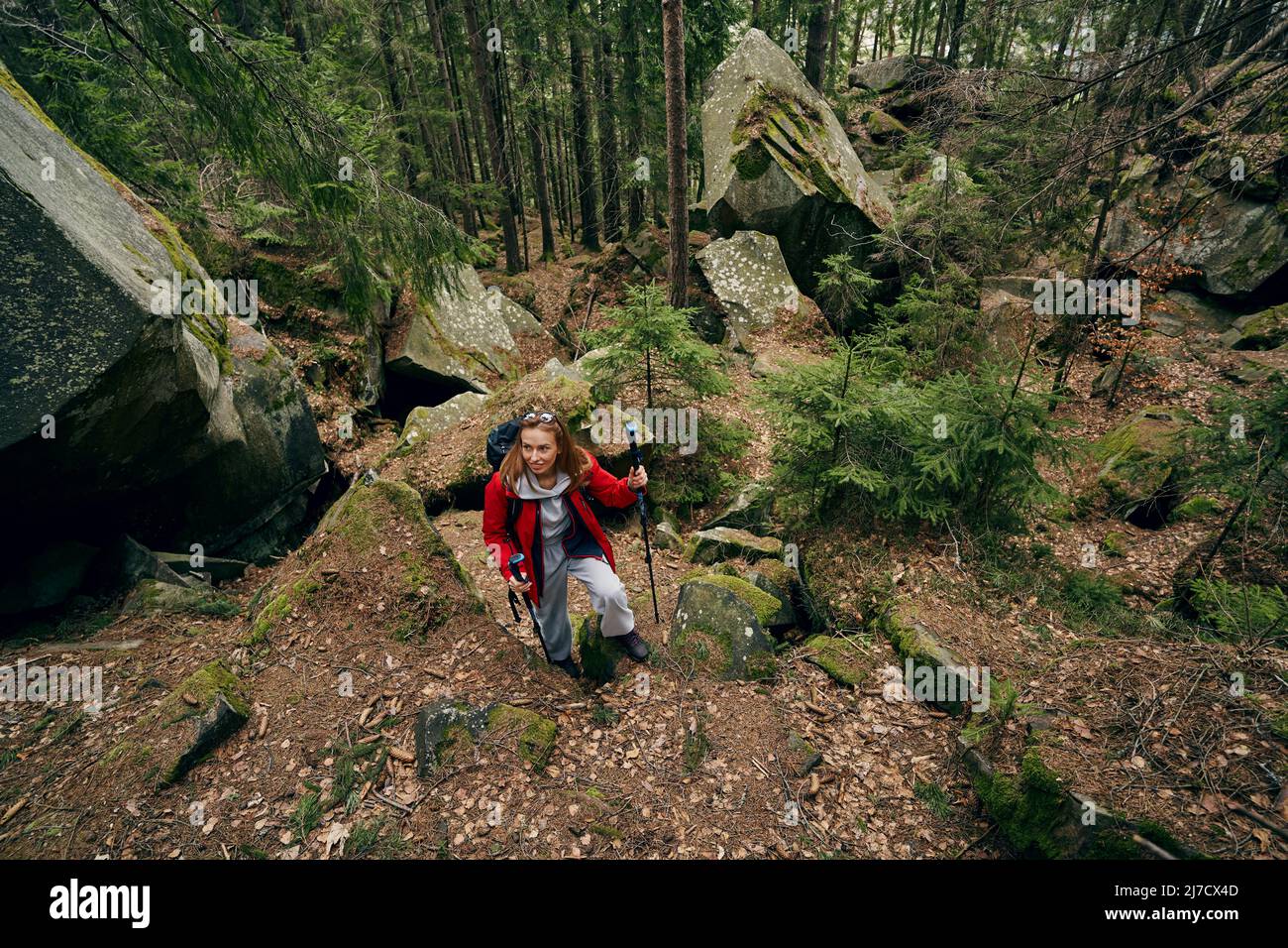 Donna turistica nordic walking in boschi con bastoni Foto Stock