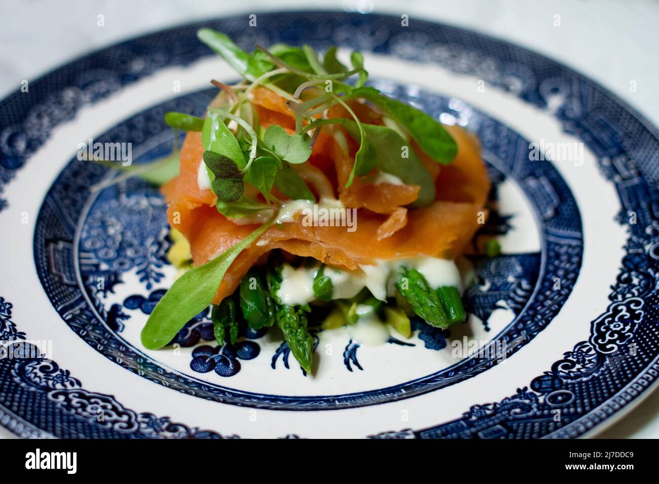 Salmone fresco guarnito con foglie verdi su un piatto di porcellana bianco con decorazioni blu navy. Foto Stock
