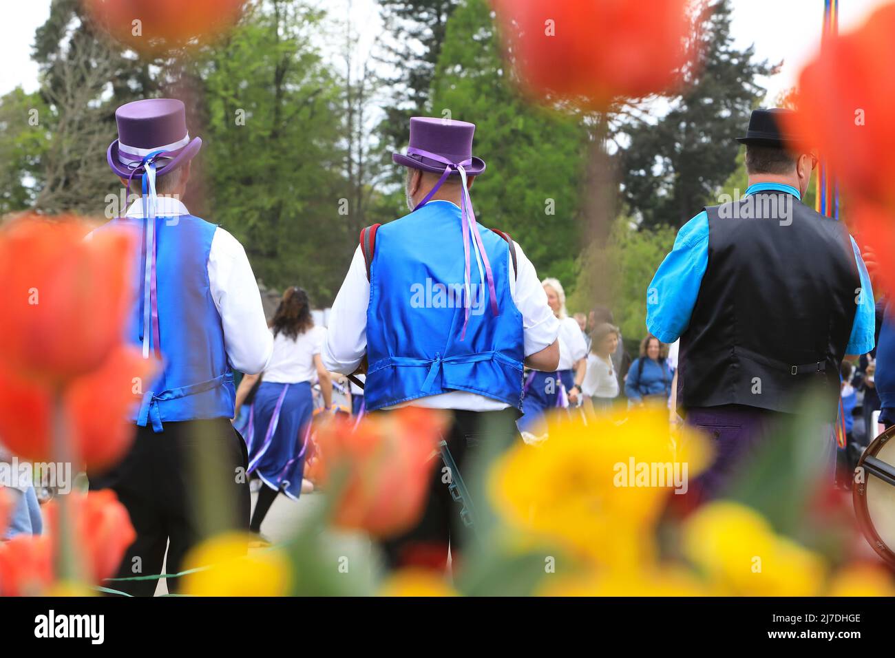 I ballerini di Edenbridge Morris si esibiscono al castello di Hever in un miserabile fine settimana del giorno di maggio, 2022, nel Kent, Regno Unito Foto Stock