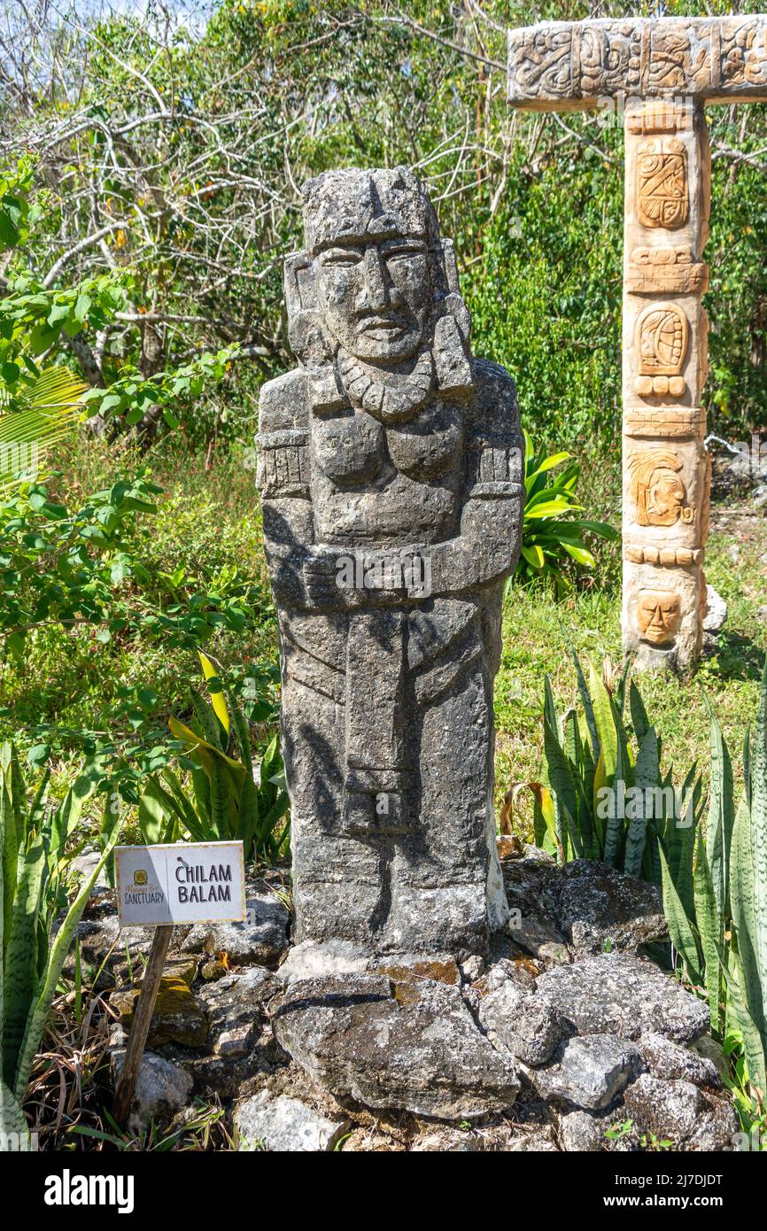 Statua di Balam del Chilam Maya in giardino al Santuario Mayan Bee, Carr Transversal, Cozumel, Quintana Roo, Messico Foto Stock