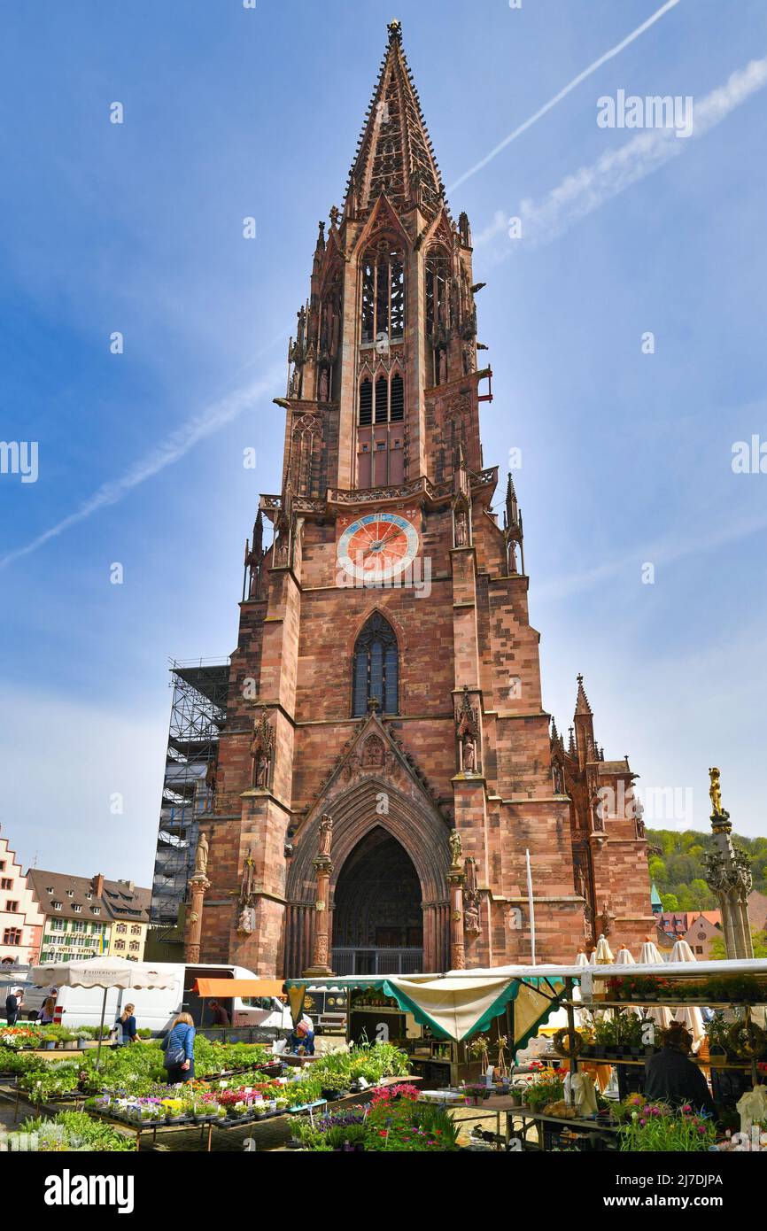 Friburgo, Germania - Aprile 2022: Cattedrale di Friburgo con mercato giornaliero nel centro della città Foto Stock