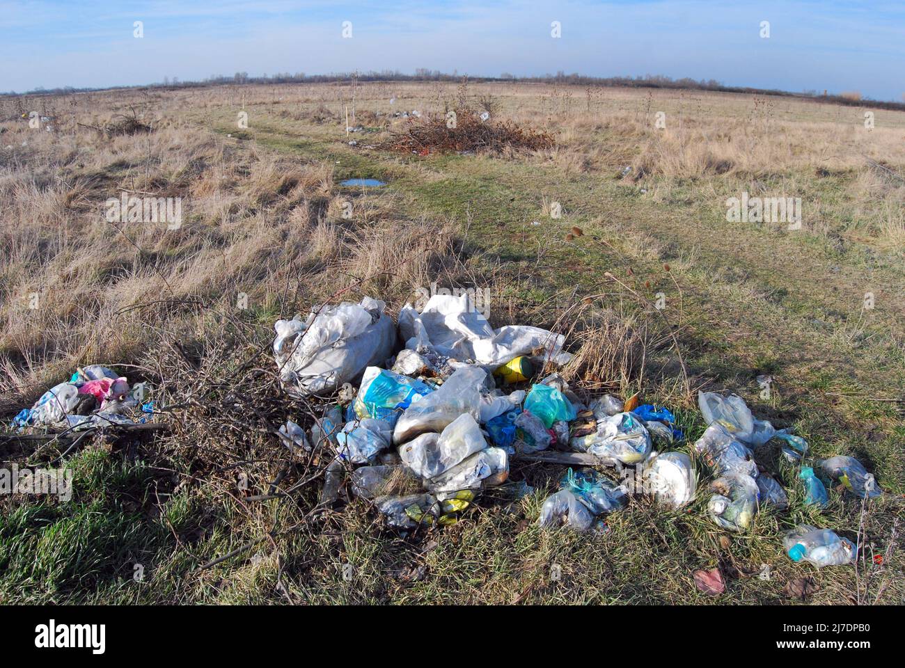 Immondizia, come carta, lattine, bottiglie, e sacchetti di nylon, viene gettato nel prato o in un luogo pubblico aperto. Foto Stock