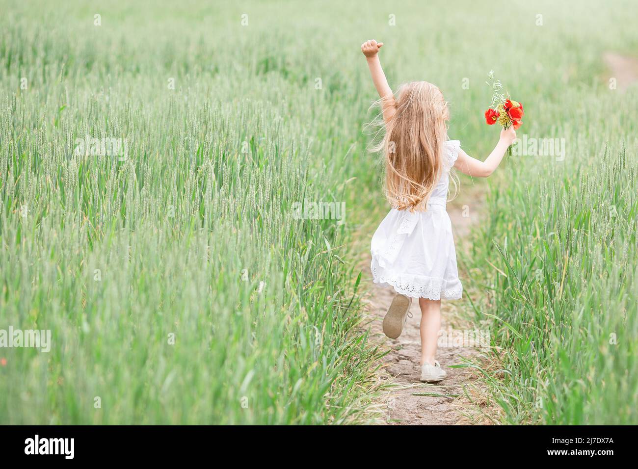 Ritratto piccola ragazza bionda al tramonto in campo. Bambina che corre in campagna in estate Foto Stock