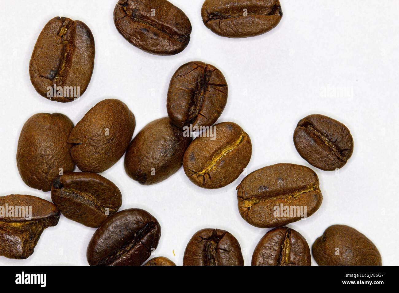 Chicchi di caffè. Bevanda deliziosa. Isolato. Chicchi di caffè marroni isolati su sfondo bianco. Chicchi di caffè per la preparazione di arabica aromatica, robusta, Excelsa e. Foto Stock