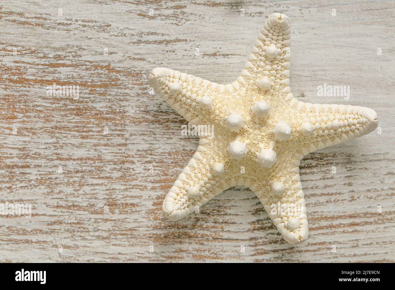 Starfish su sfondo bianco shabby chic. Decor nautico estivo. Sfondo in stile marino Foto Stock
