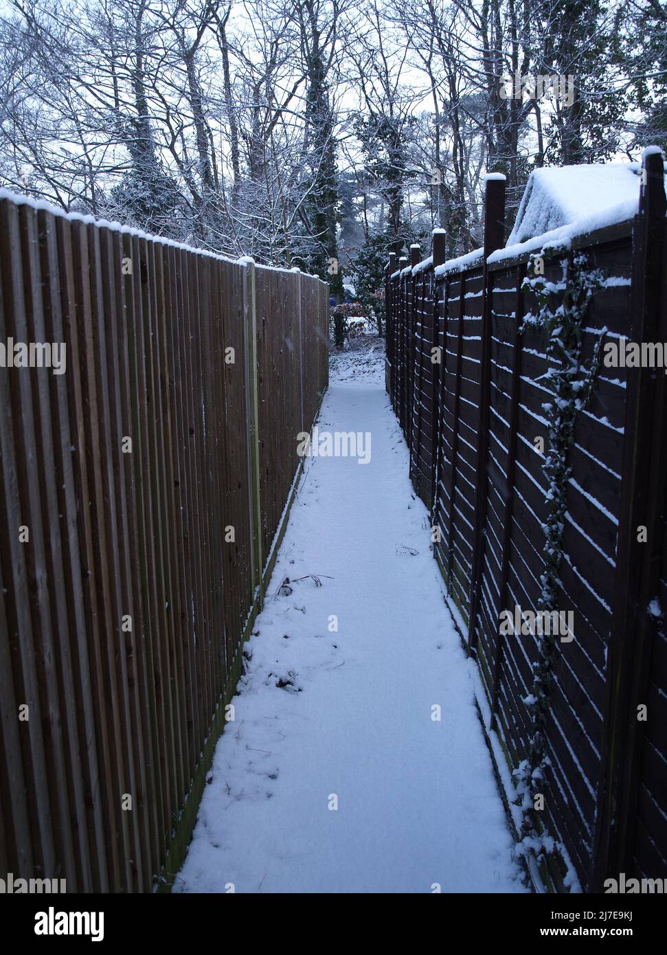 Vicolo strada tra recinzioni da giardino dopo una forte nevicata a Bursledon, Southampton, Hampshire, Inghilterra, Regno Unito Foto Stock