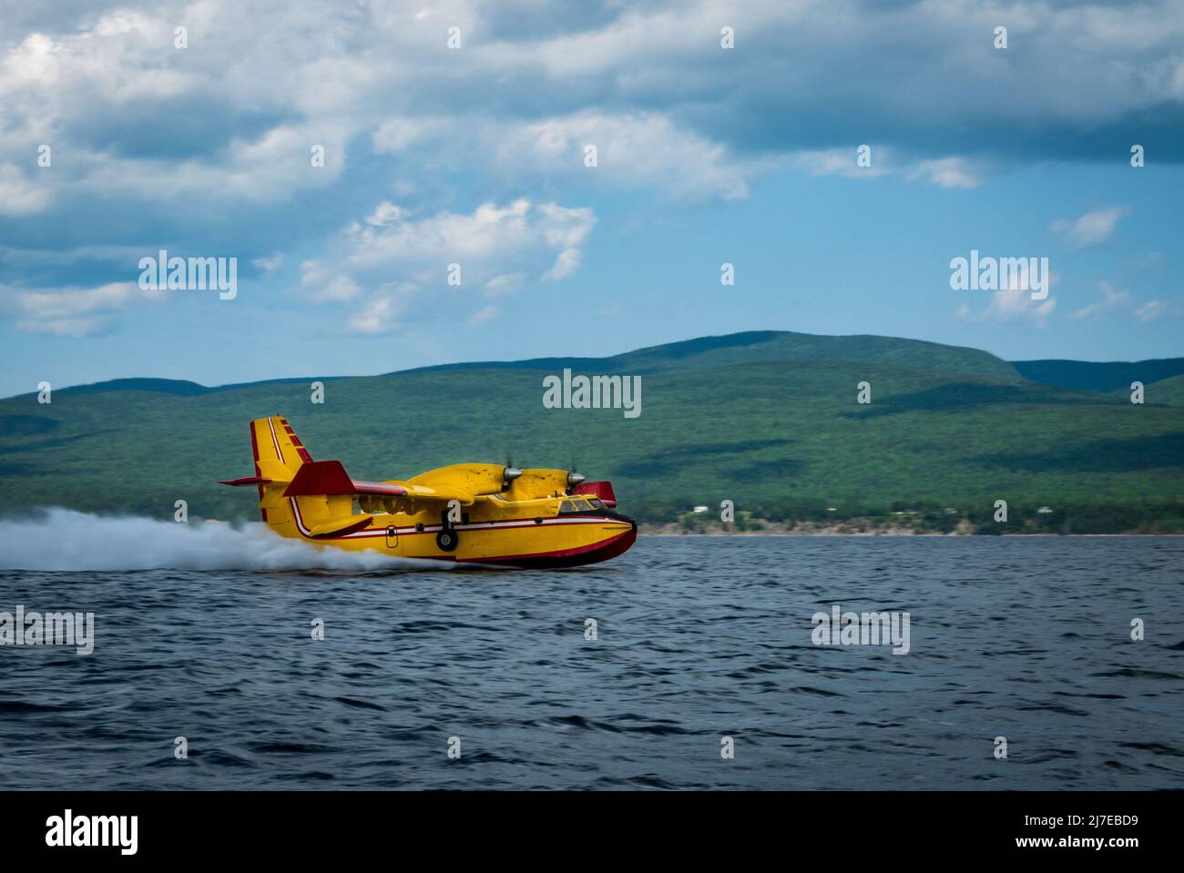 Bomber ad acqua Canadair in azione Foto Stock