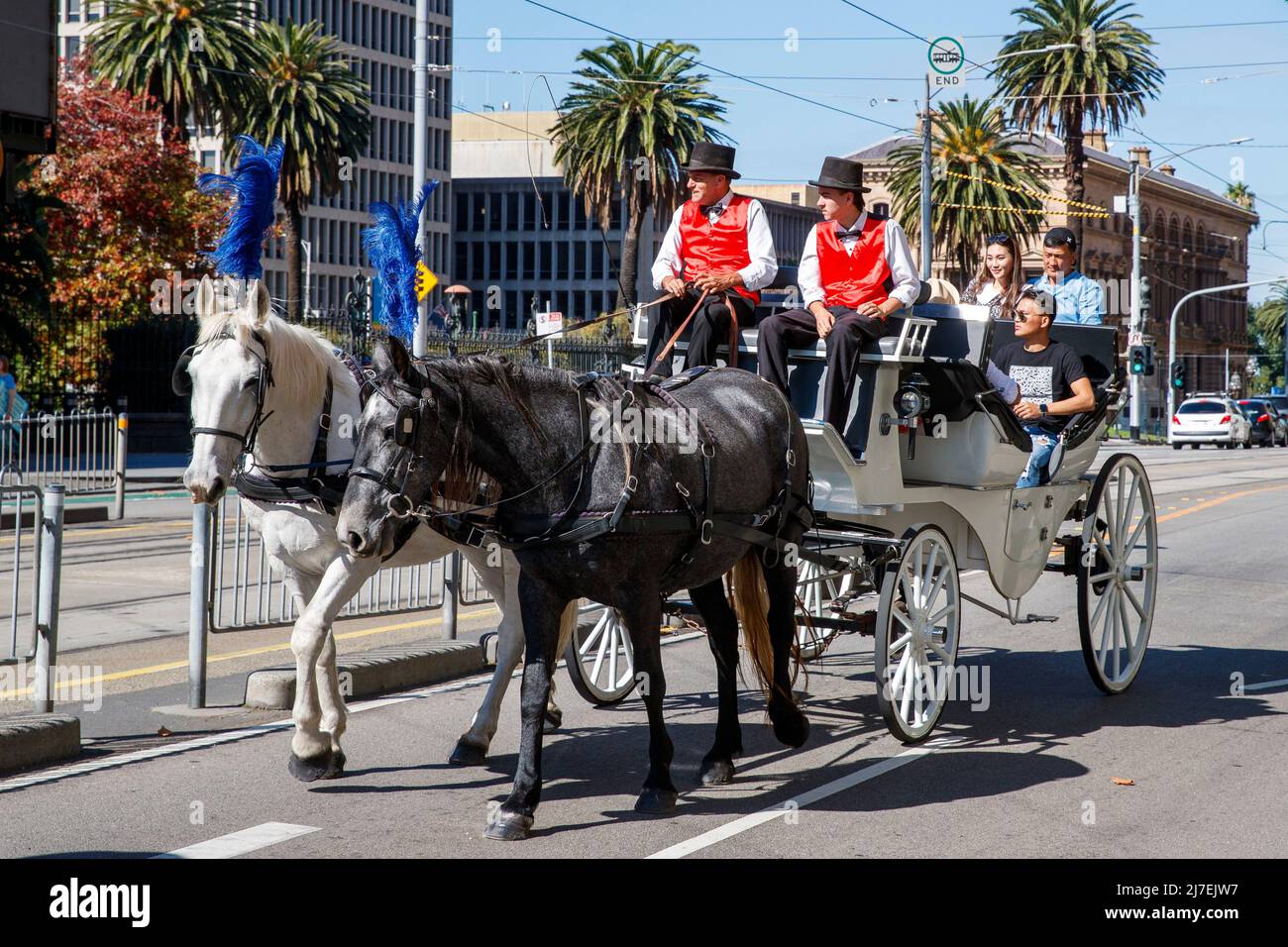 Giro turistico in carrozza trainata da cavalli, Melbourne, Victoria, Australia, sabato, April 16, 2022.Photo: David Rowland / One-Image.com Foto Stock