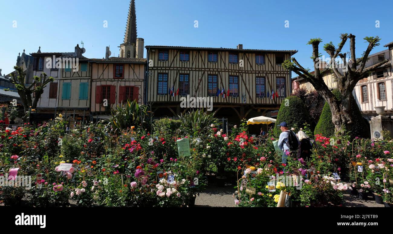 Mirepoix Ariège Francia 05.08.22 mercato dei fiori. Vendita di colorati cespugli di rose in piazza medievale. Edifici dipinti a graticcio. Chiesa campanile. Foto Stock