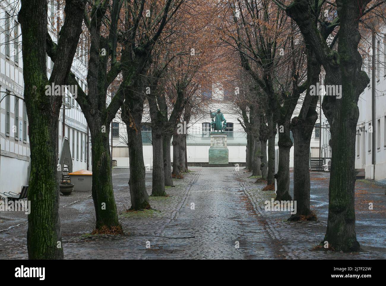 Halle S Franckesche Stiftungen 3469 Lindenhof zwischen den Stiftungsbauten (1698-1745) hinten Denkmal für August Hermann Francke von Christian Daniel Foto Stock