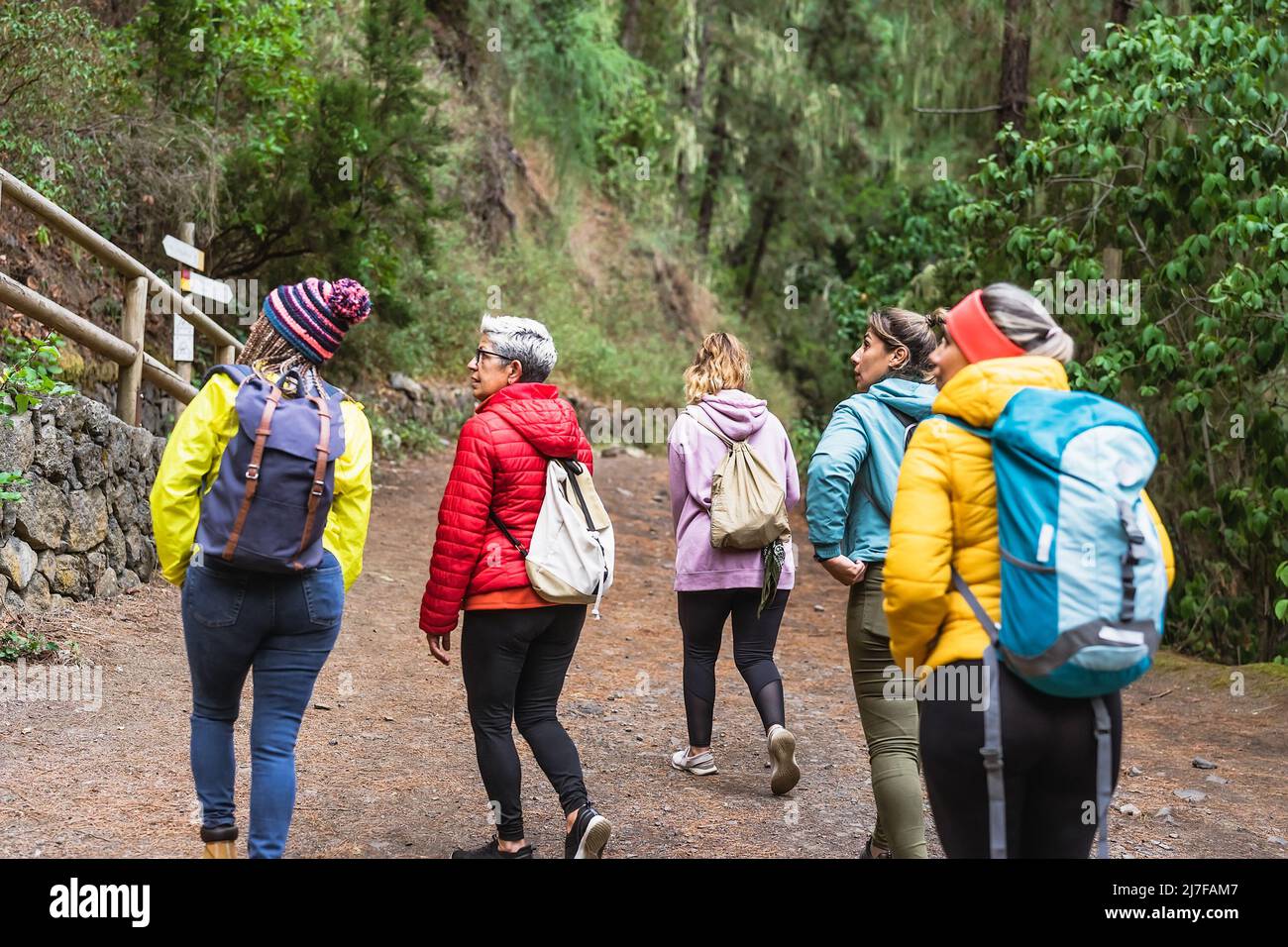 Gruppo di donne con età ed etnie diverse che si divertono a camminare nei boschi - concetto di avventura e di persone di viaggio Foto Stock
