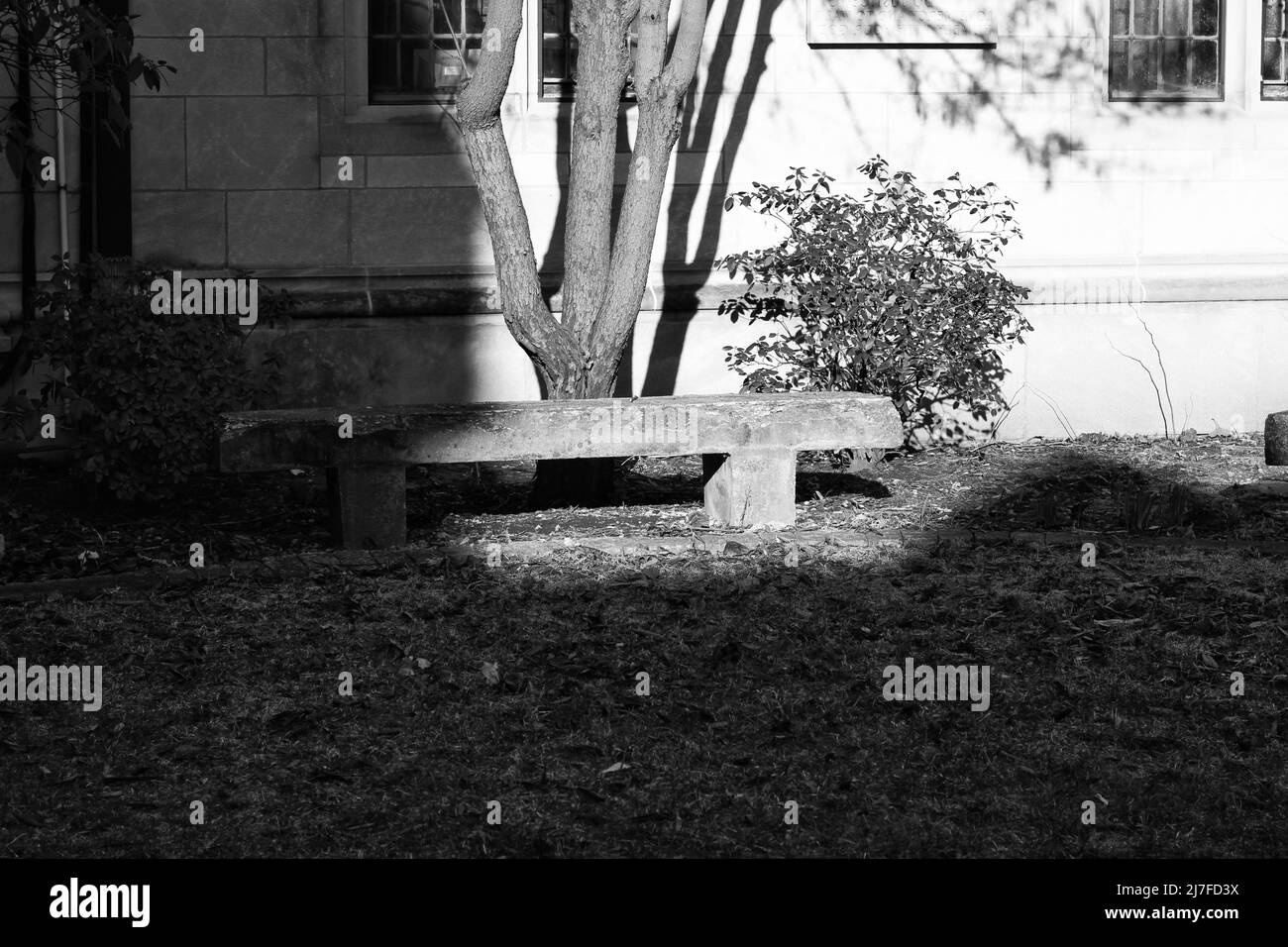 Panca in pietra vintage seduta vuota e accogliente nel cortile giardino gotico in bianco e nero. Foto Stock