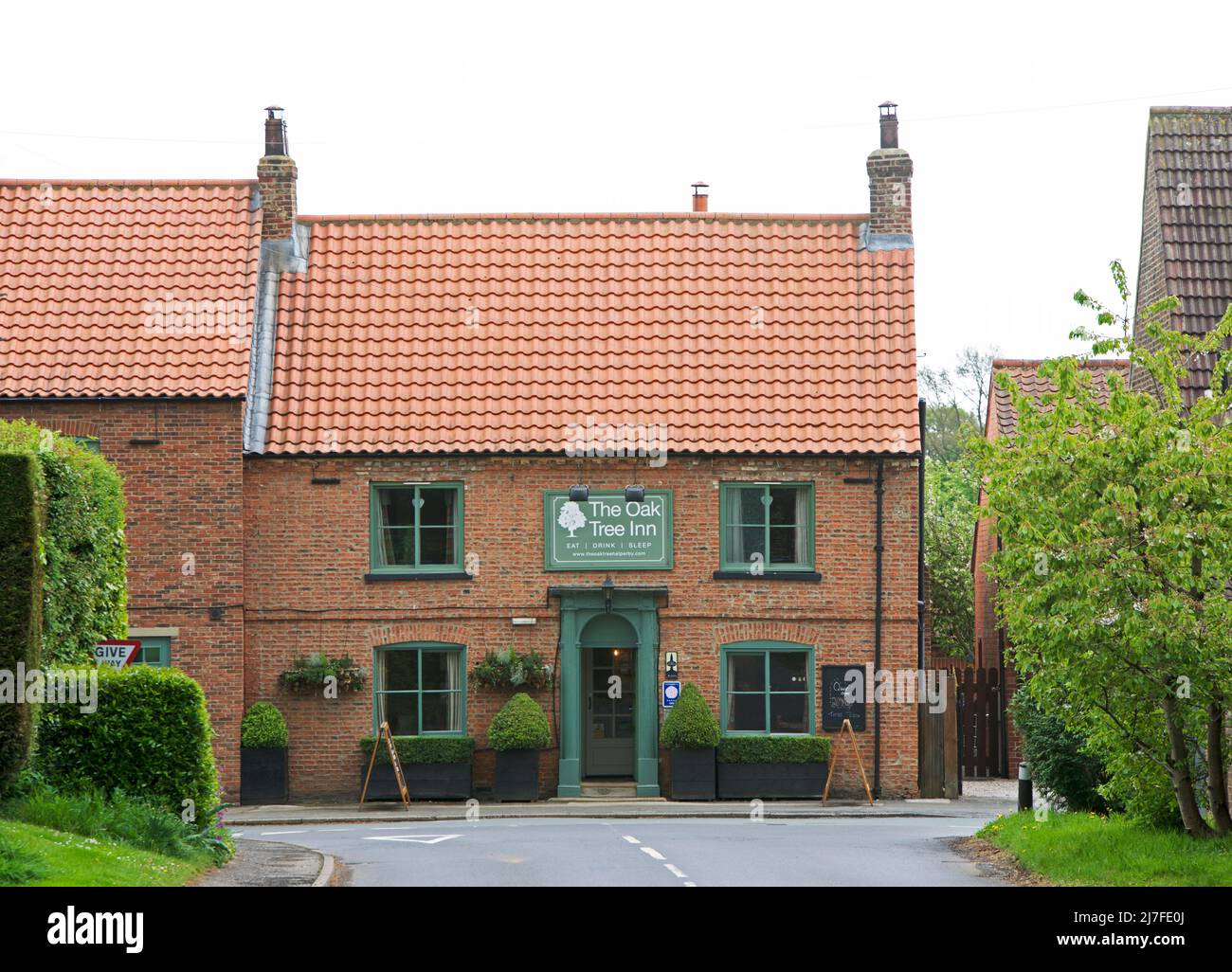 The Oak Tree pub nel villaggio di Helperby, North Yorkshire, Inghilterra Regno Unito Foto Stock
