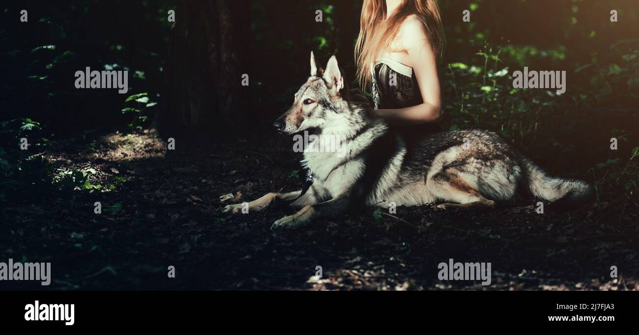 Ragazza glamour seduta con cane lupo in foresta Foto Stock