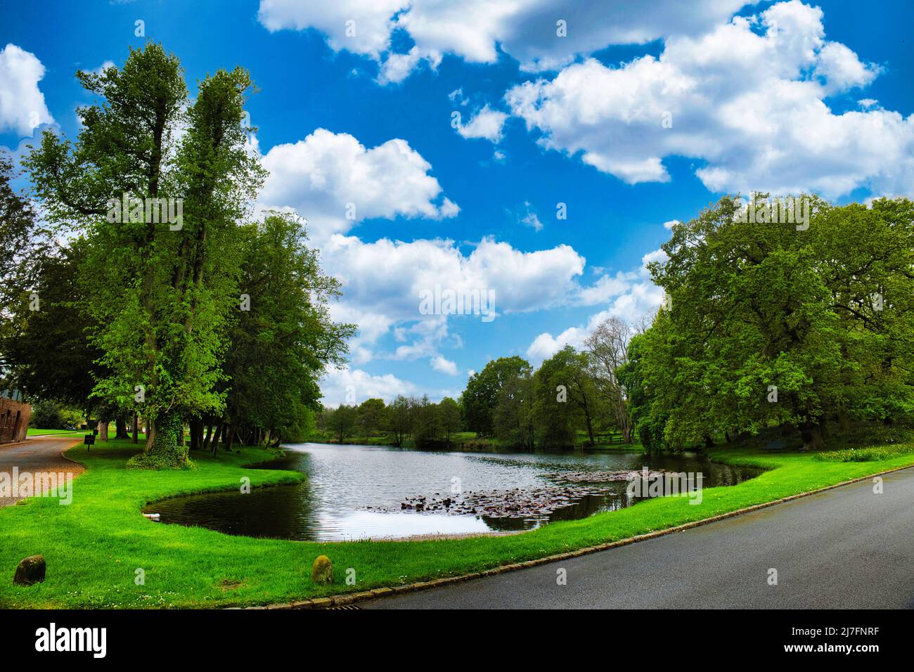 Dorfold Hall lago Foto Stock