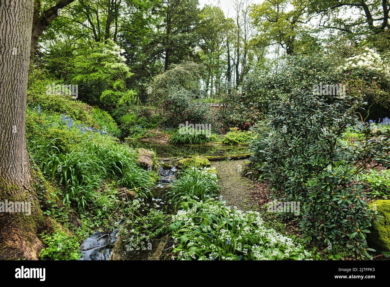 Il Dell, Dorfold Hall Foto Stock