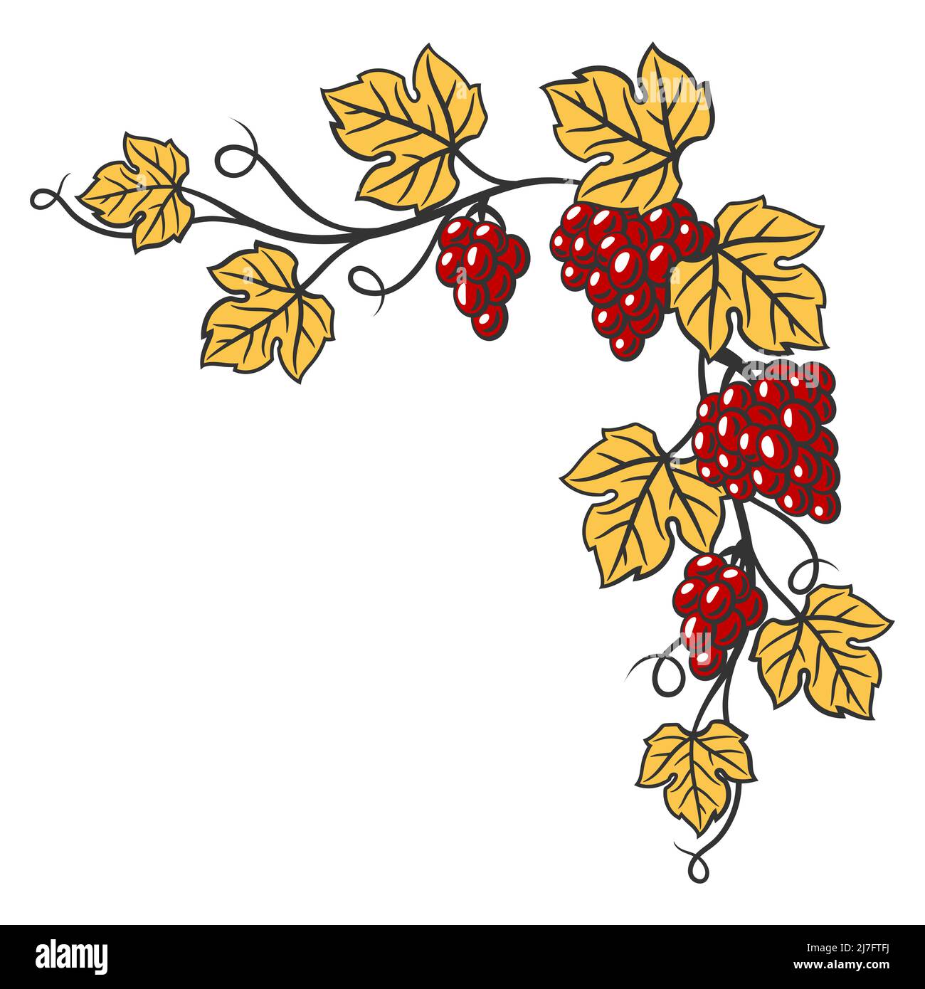 Cornice di vite con foglie e grappoli di uva. Immagine della cantina per ristoranti e bar. Voce commerciale e agricola. Illustrazione Vettoriale