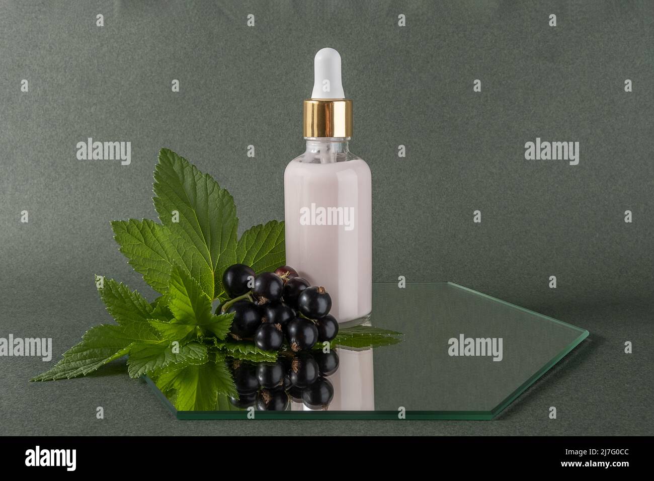 Un flacone contagocce in vetro con prodotto cosmetico e rametto di ribes nero sullo specchio, sfondo verde. Bellezza organica naturale concetto cosmetico. Anteriore Foto Stock