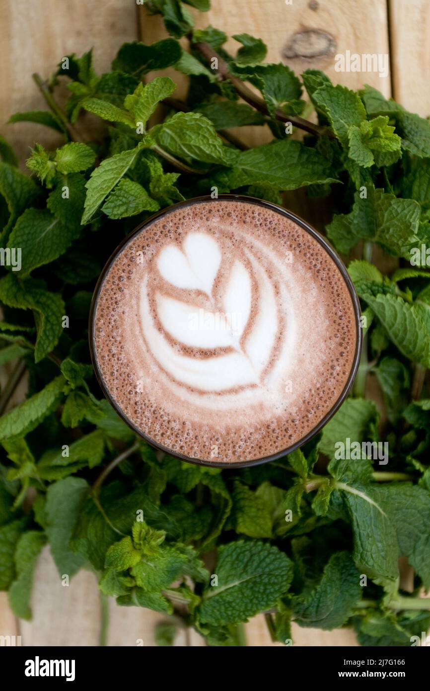 Un utile e salutare cacao alla menta in fragranti rametti di menta. Foto Stock