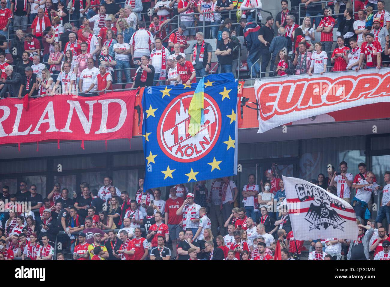 Köln, RheinEnergieStadion, 07.05.22: FC Fans mit einer EU Fahne im Spiel der 1.Bundesliga 1.FC Köln vs. VFL Wolfsburg. Foto: Presepfoto Mika Volkmann Foto Stock