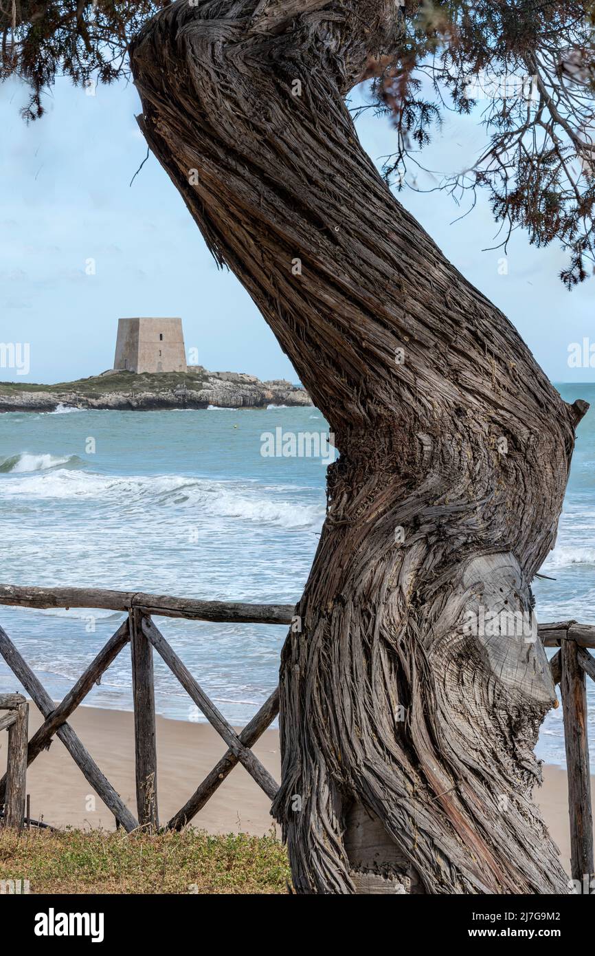 La Torre del Gusmay, una delle torri di guardia, vista dalla baia di Manacore o Bescile. Peschici, provincia di Foggia, Puglia, Italia, Europa Foto Stock