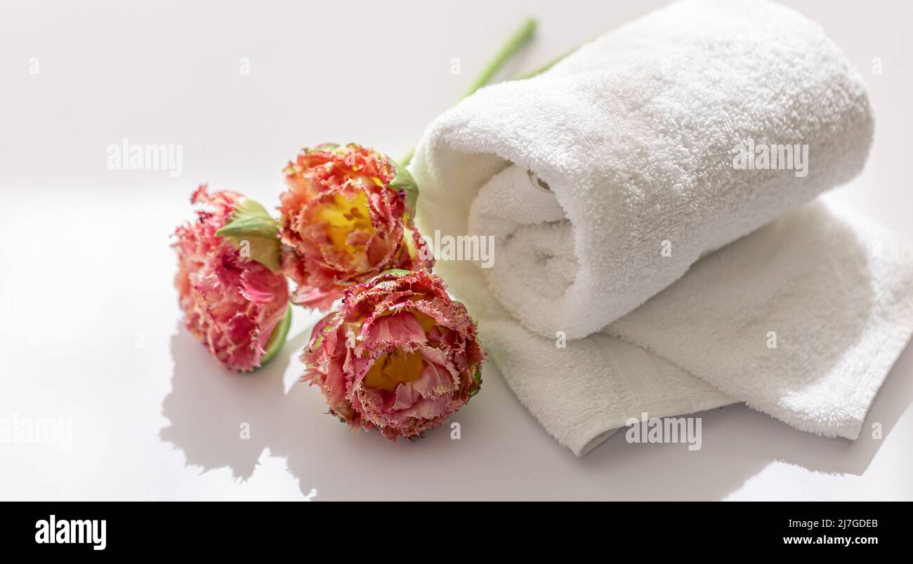 Primo piano, asciugamani da bagno in spugna bianca e fiori. Foto Stock