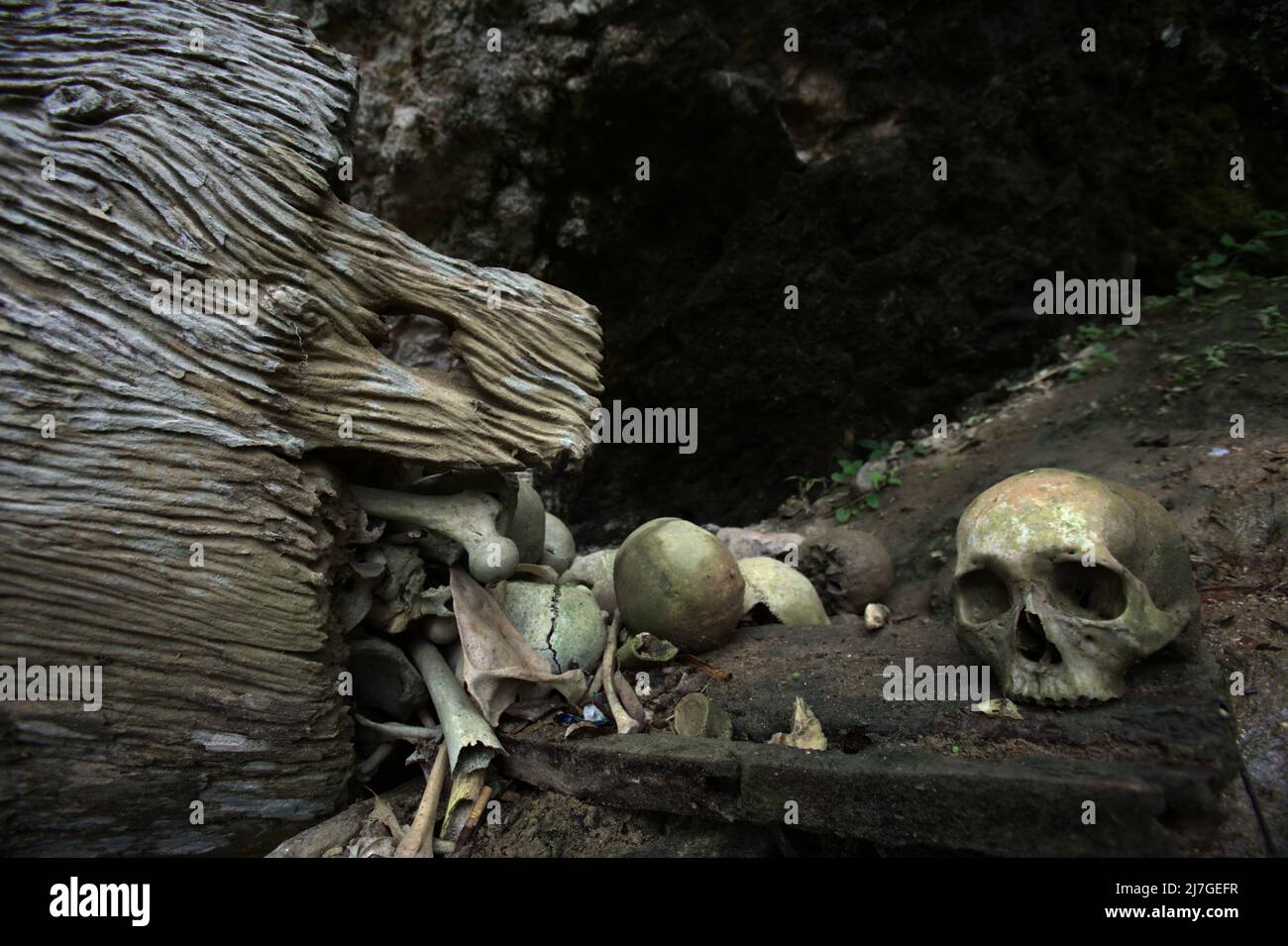 Scafi umani nel tradizionale luogo di sepoltura nel villaggio di Kete Kesu, Nord Toraja, Sud Sulawesi, Indonesia. Foto Stock