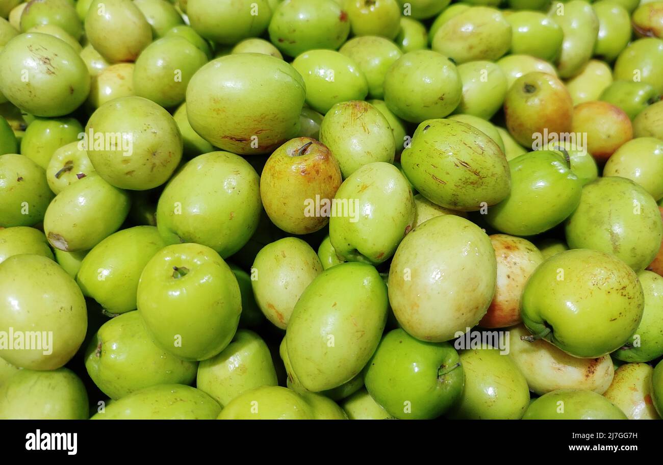 Ziziphus mauritiana. Jube indiano. Prugna indiana. Data cinese. Mela cinese. Dunks. Foto Stock