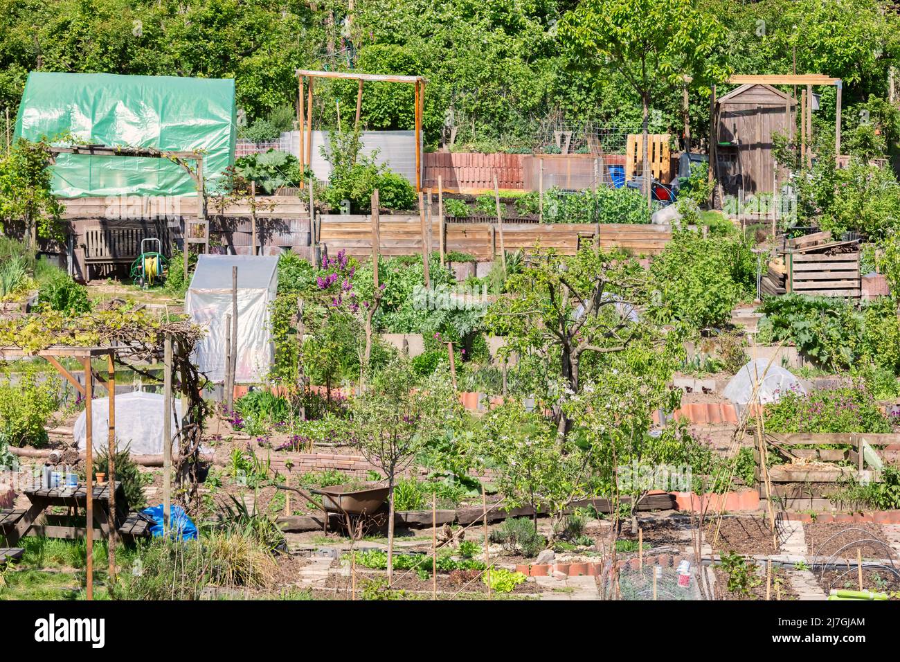Olandese soleggiato comunità di giardini con verdure su una piccola collina a Arnhem, nei Paesi Bassi Foto Stock